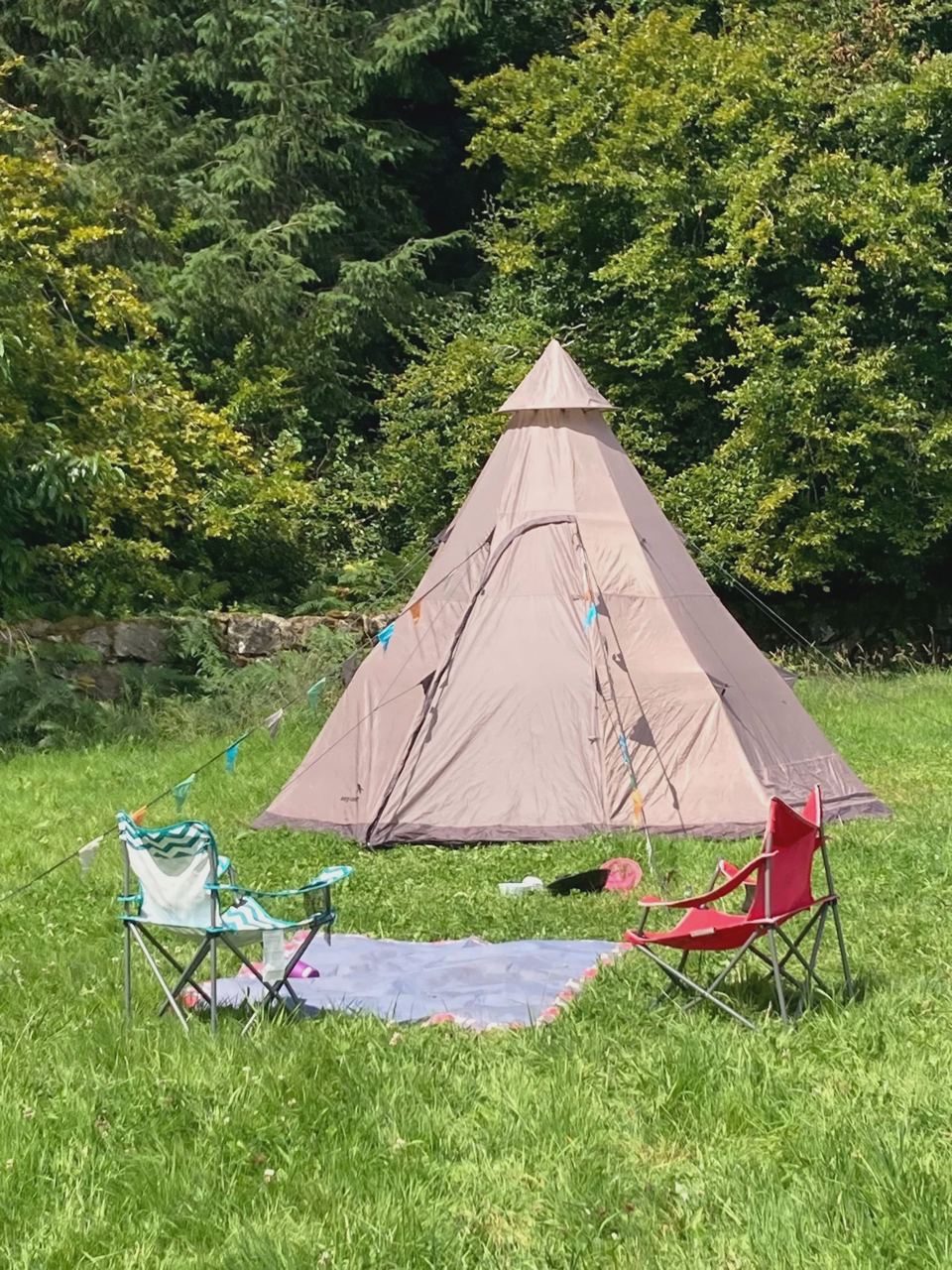 Tipi pitched on the grass