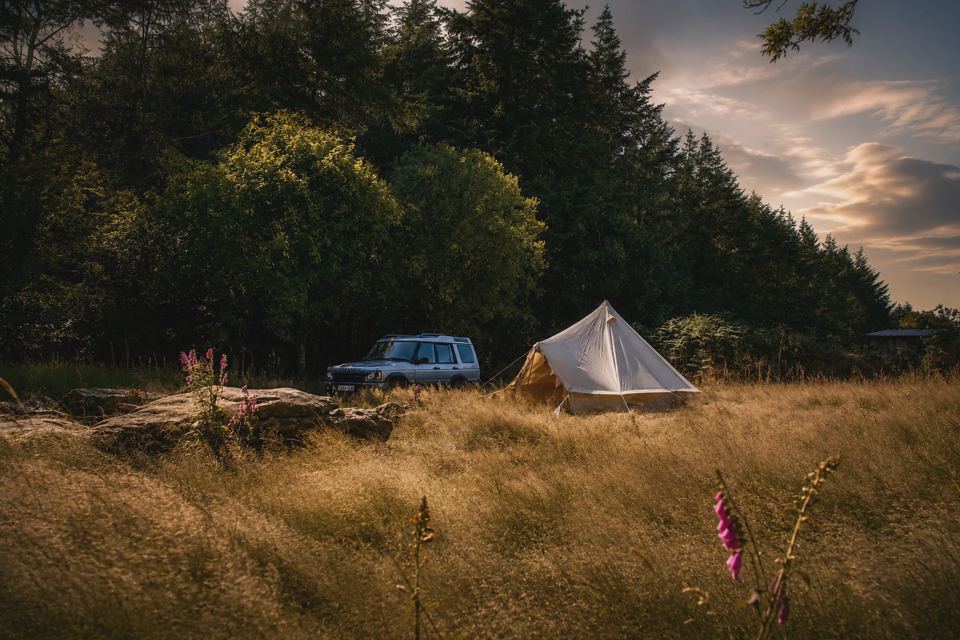 Tent pitch at the forest edge