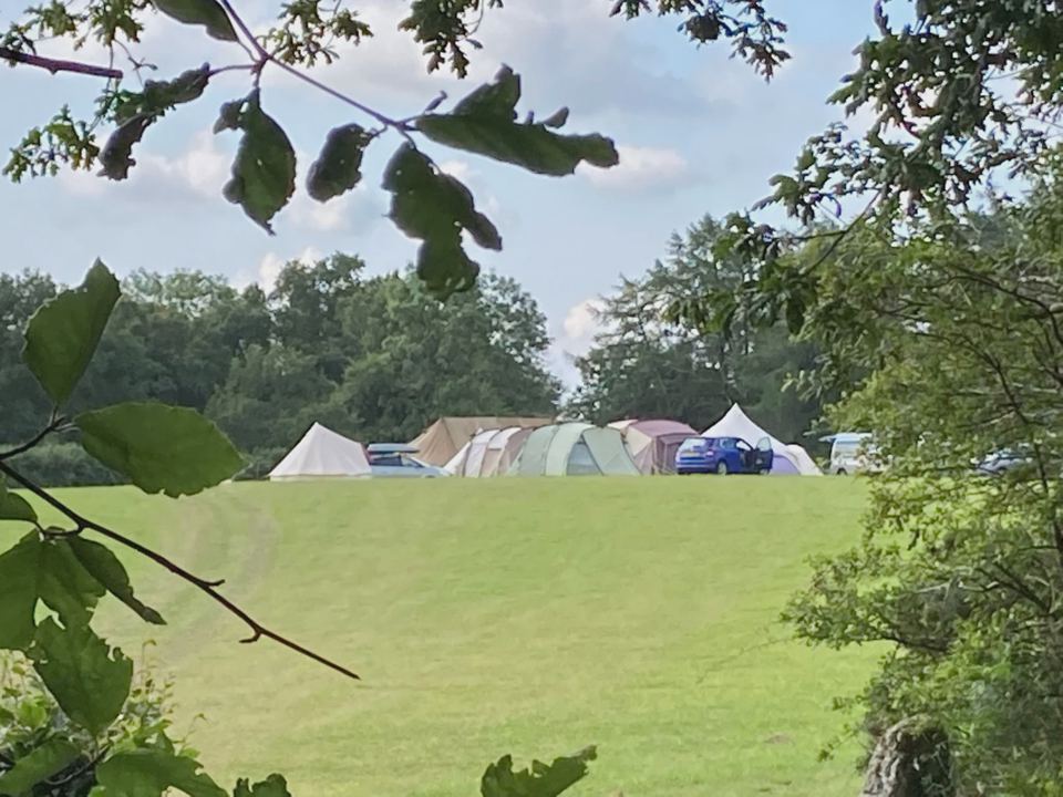 Tents pitched in the field
