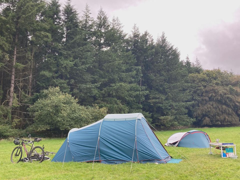 Tent pitched in front of the forest