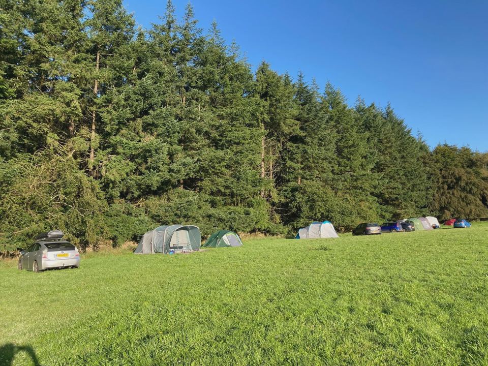 Tents on the field by the forest