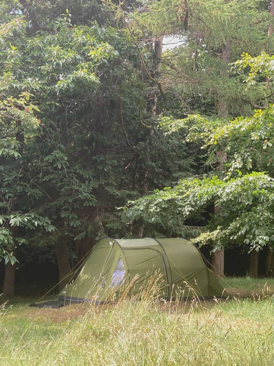 Small tent under the trees