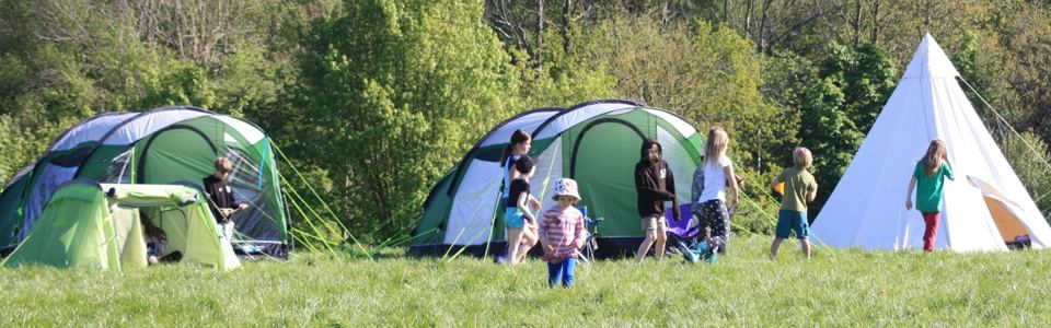 Tents and a tipi on the grass
