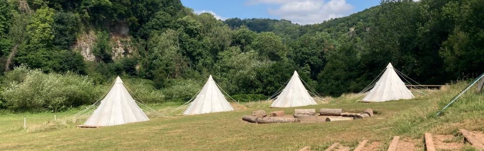 Tipis in the meadow
