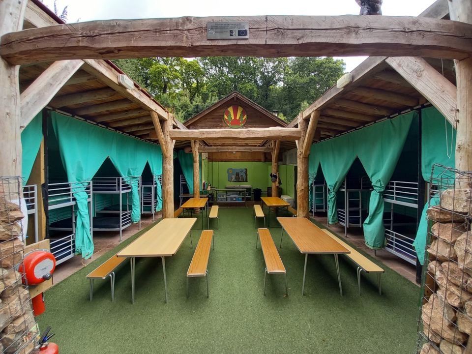 Inside The Burrow