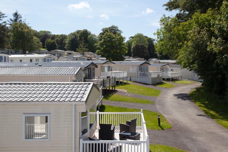 Static caravans along a tree-lined road