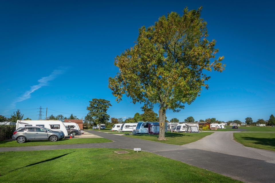 Touring pitches around a tree