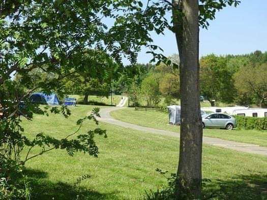 Grass pitches by the path