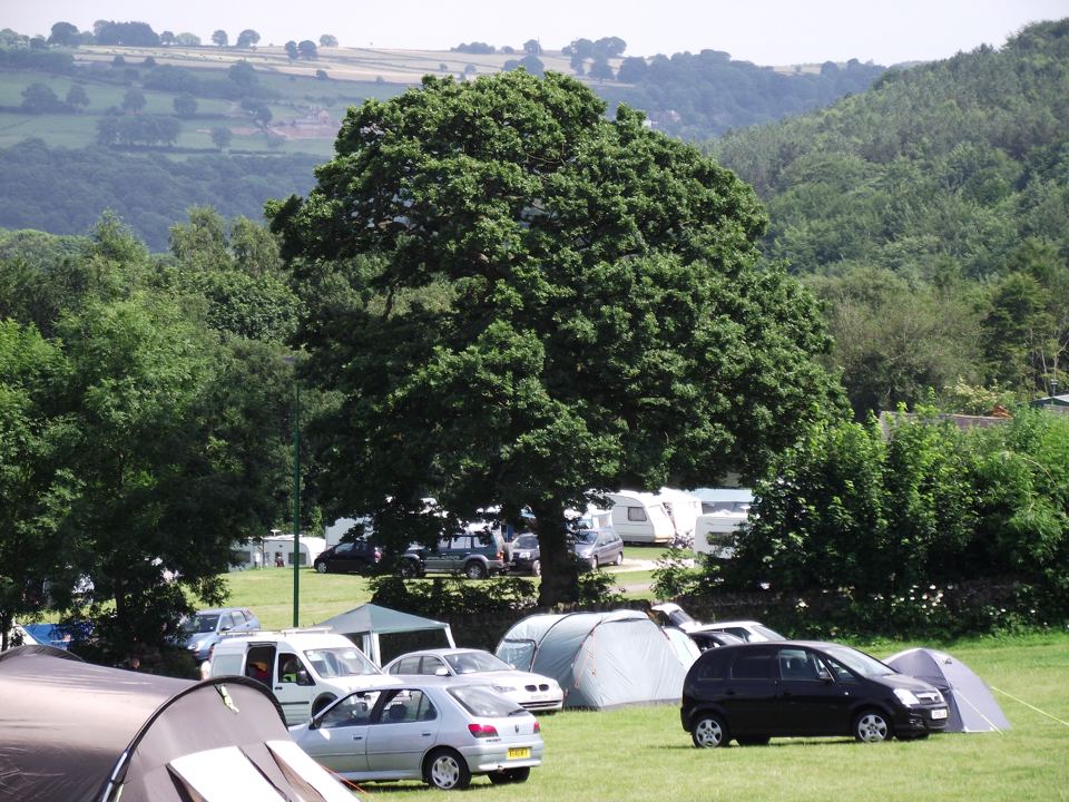 Tents and cars under the oak