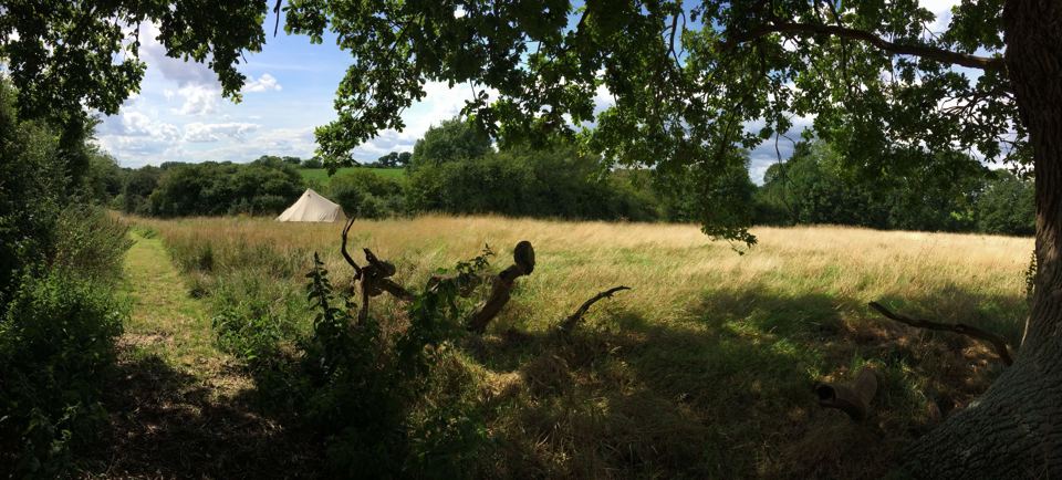 Pitch under an oak