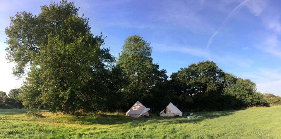 Tents on a mown pitch