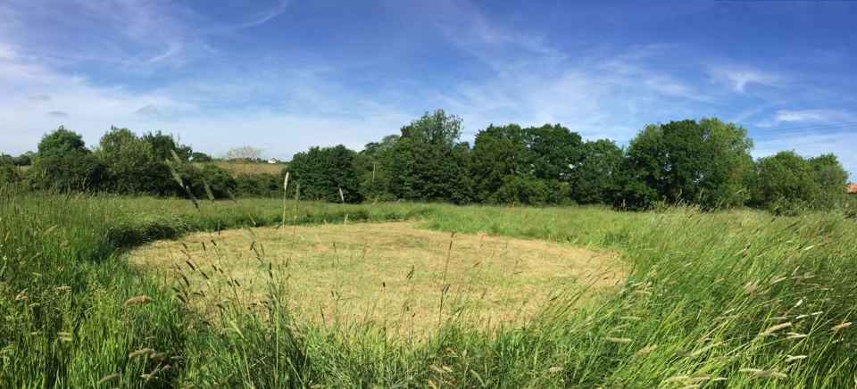 Mown circle in long grass