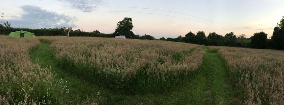 Mown path through the meadow