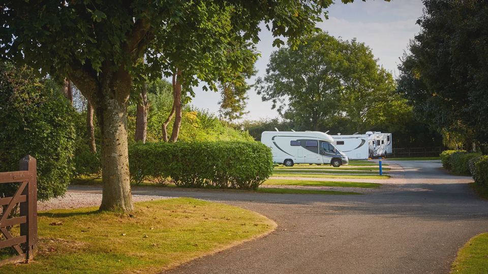 Motorhome pitches by the trees