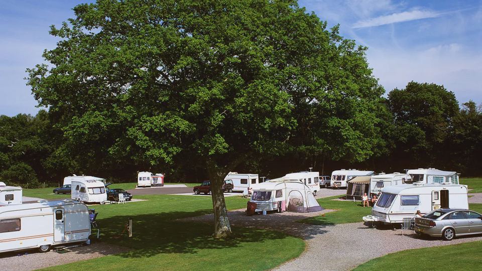 Caravans under the oak