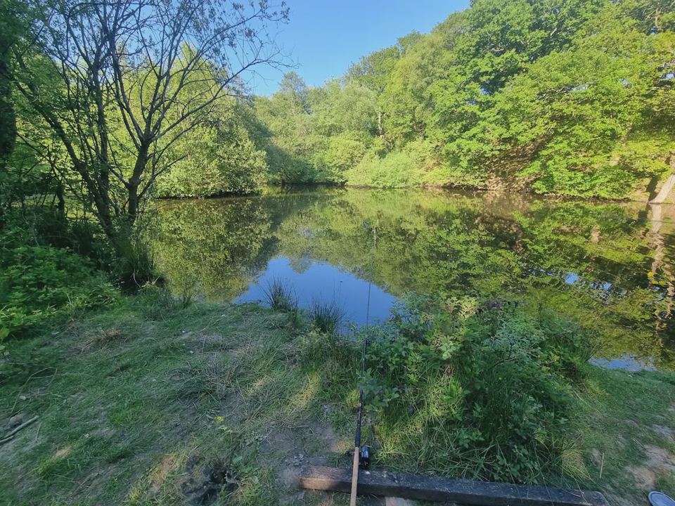 Trout lake