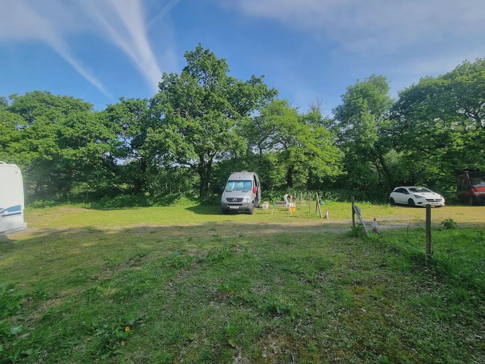 Open grass field
