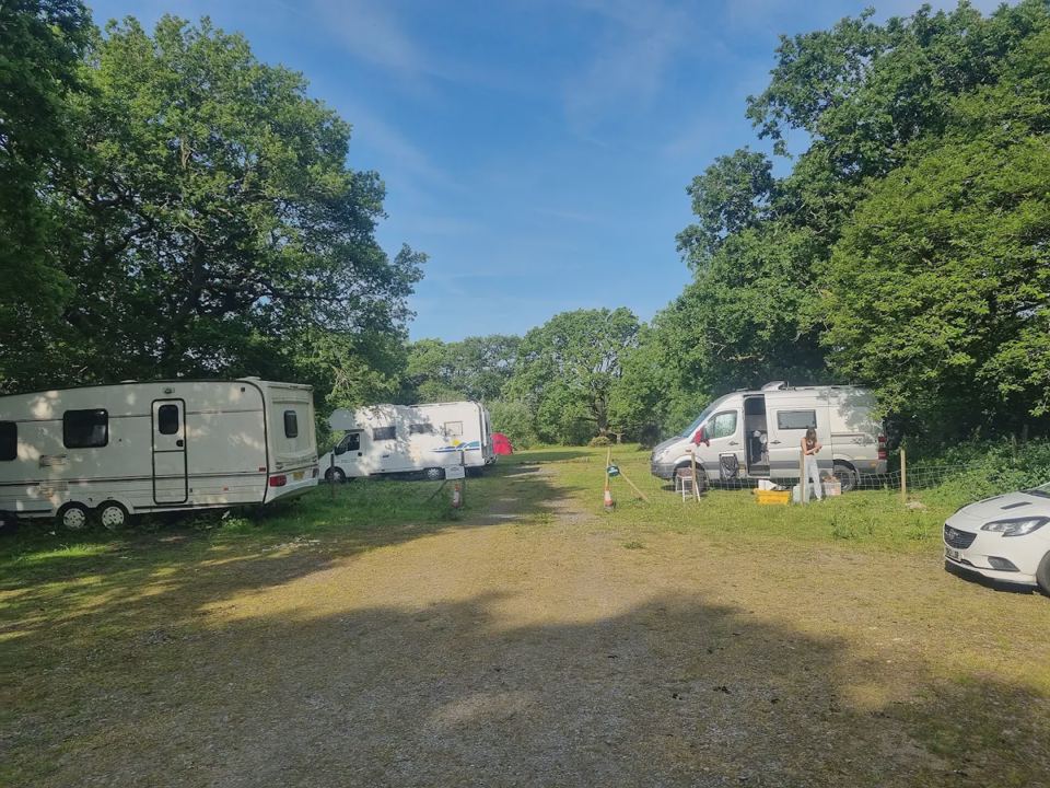 Caravans in the field