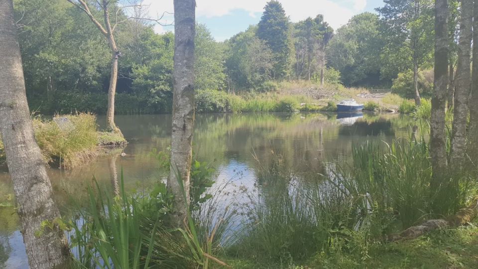 Lake edge