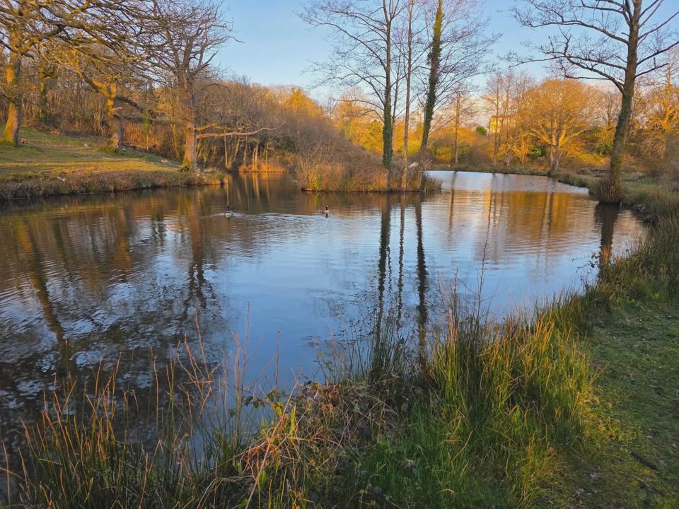 Fishing lake in autumn
