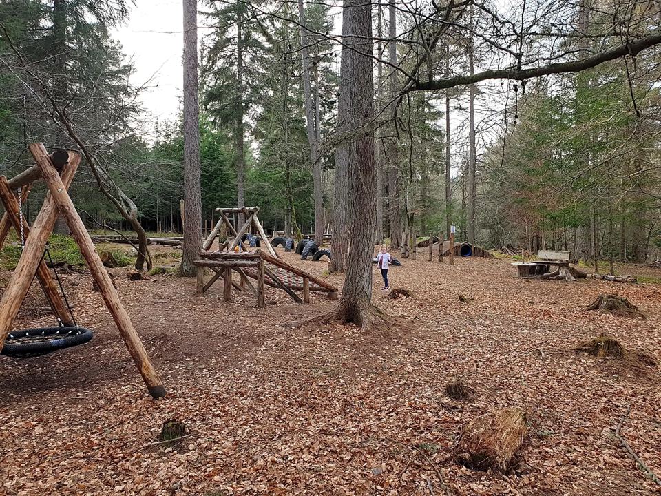 Woodland play area