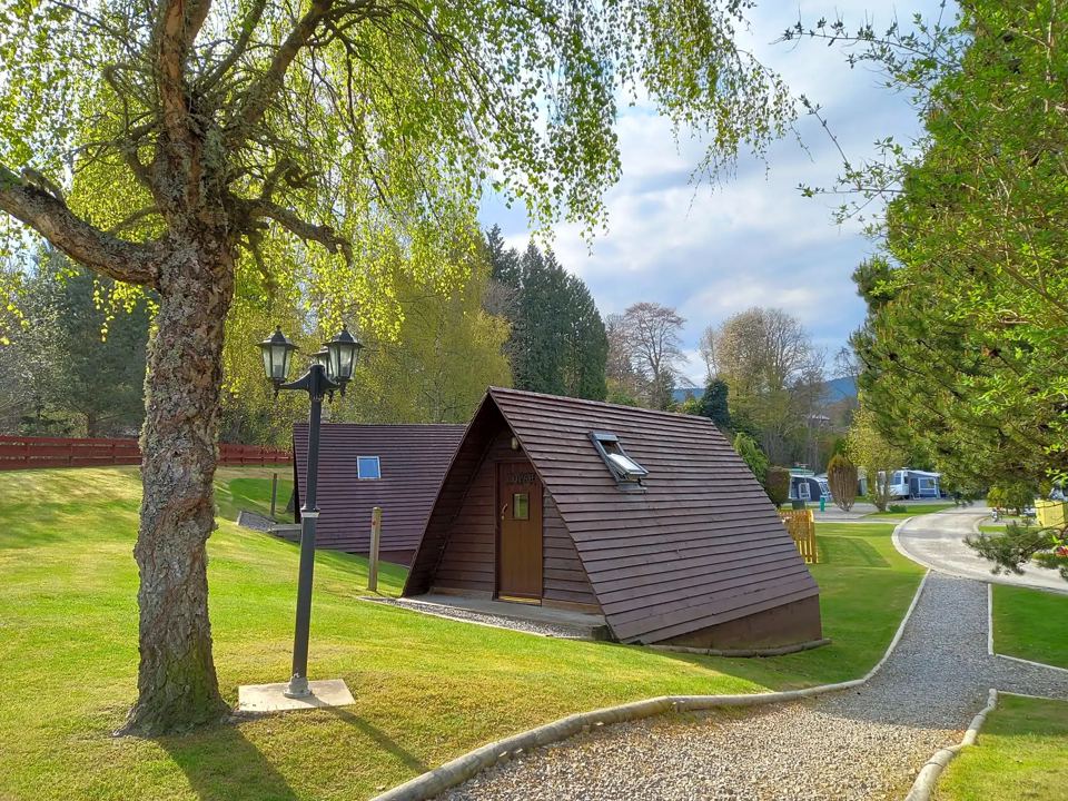 Camping pod among trees