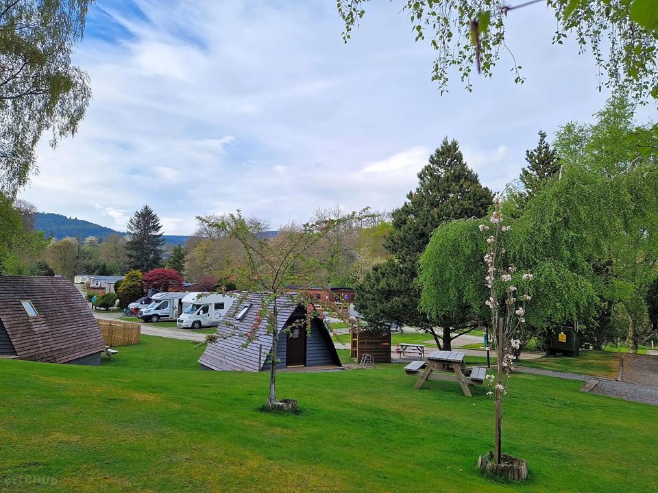 Pods on the lawn