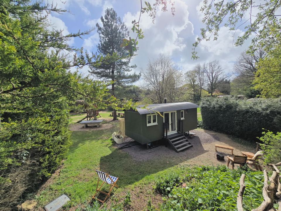 Shepherd's hut in the woods