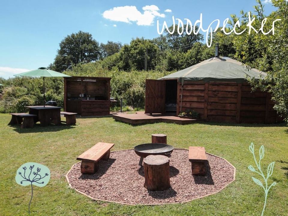 Woodpecker yurt and fire pit