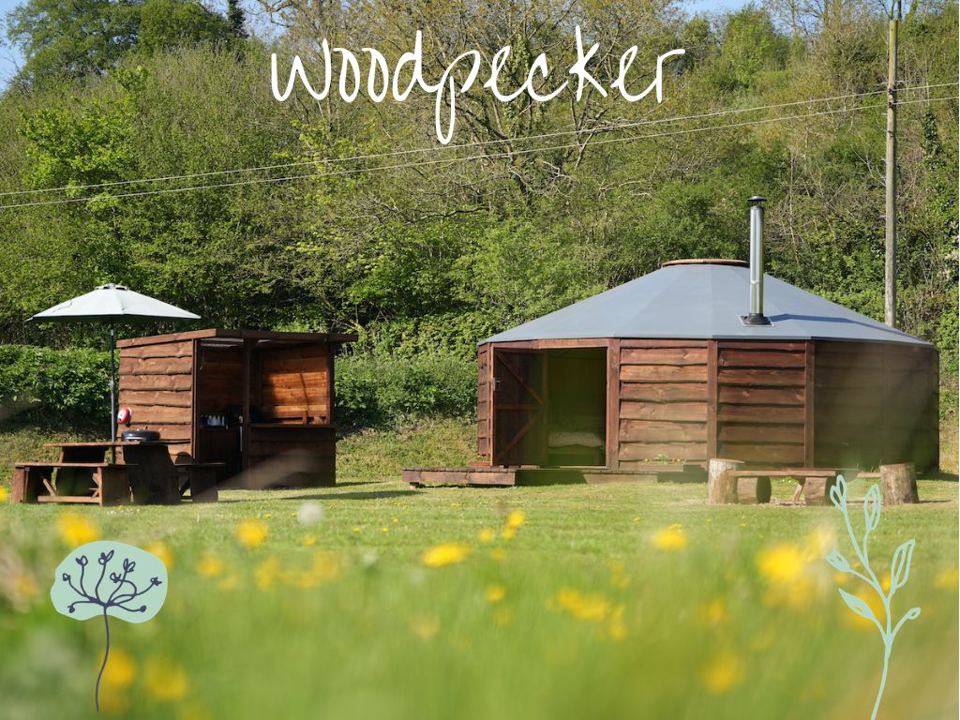 Woodpecker yurt in the meadow