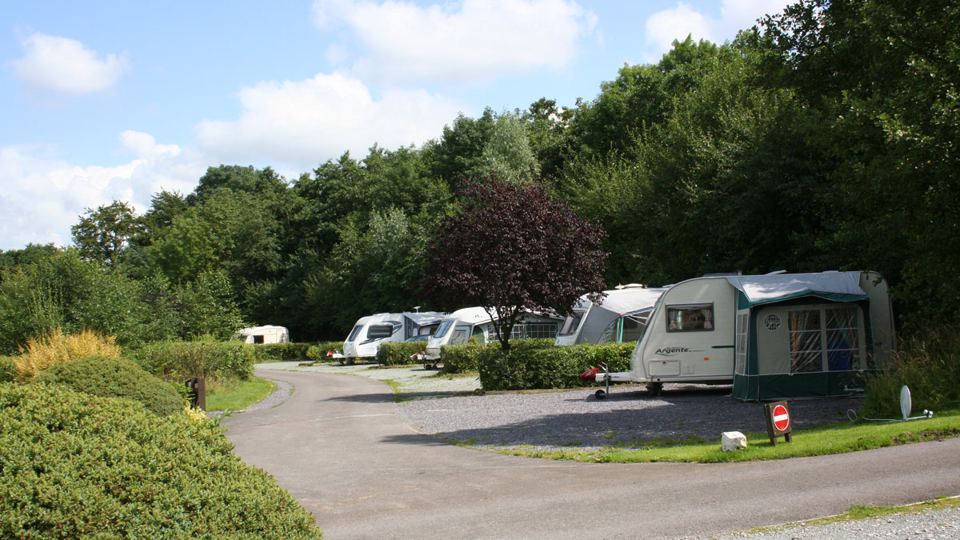 Hardstanding pitch among trees
