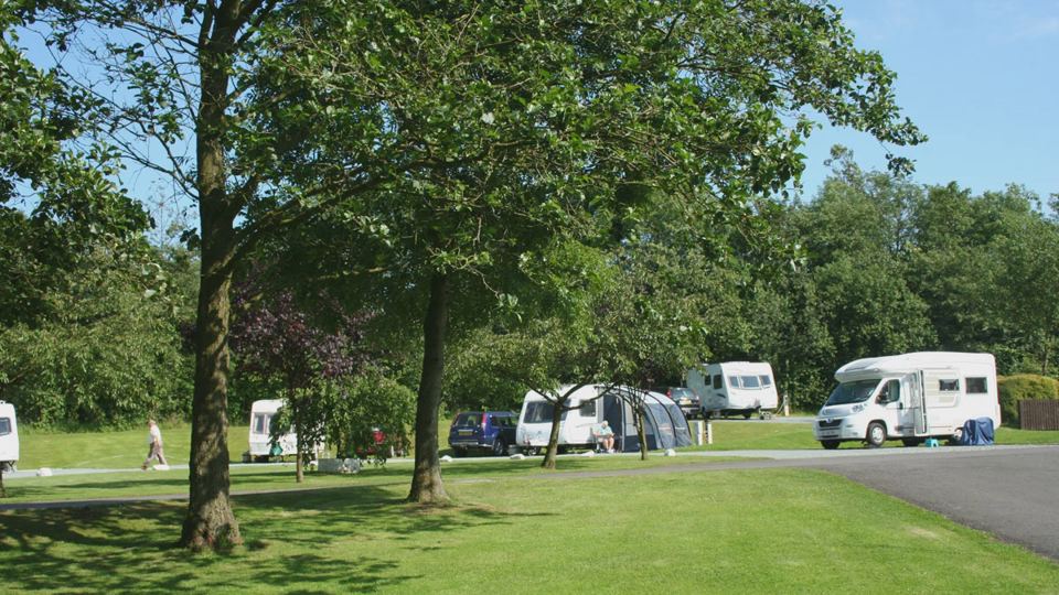 Pitches on grass between trees