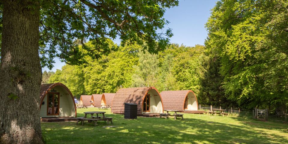 Camping pods in the trees