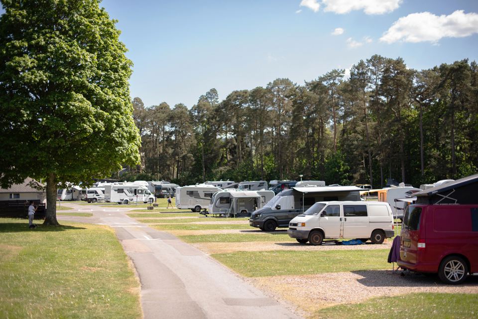 Touring pitches by the trees