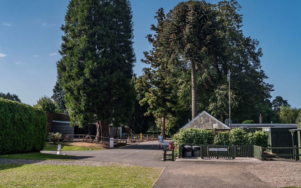 Site road towards reception