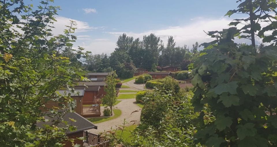 Lodges among the trees