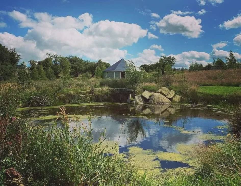 Pond in the woodland