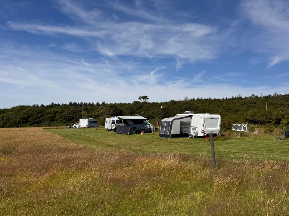Wide view across the pitches