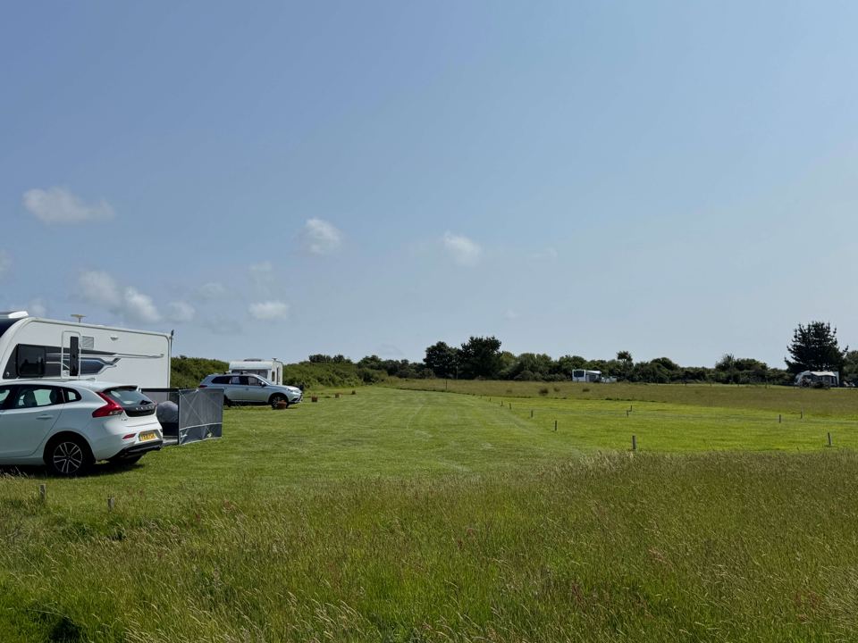 Grass pitches with trees beyond