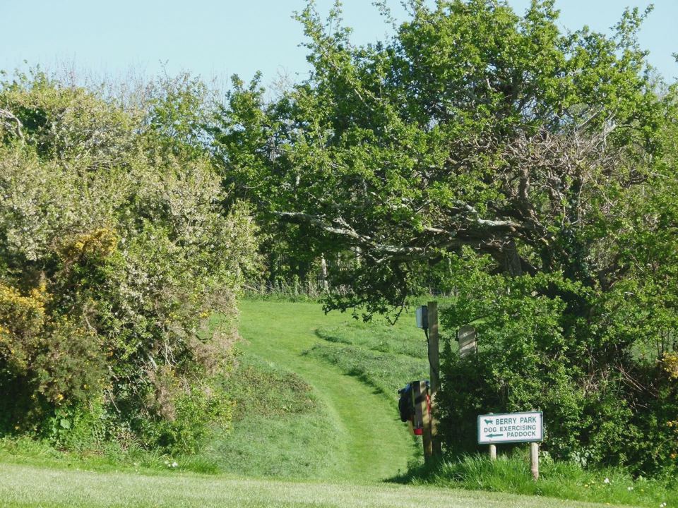 Path into the campsite