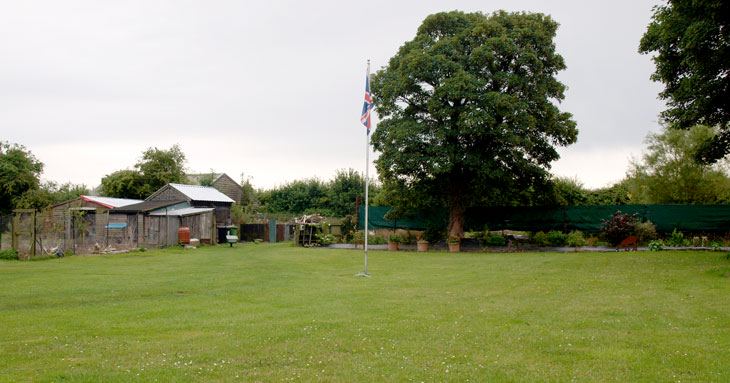 Lawn and trees on the site