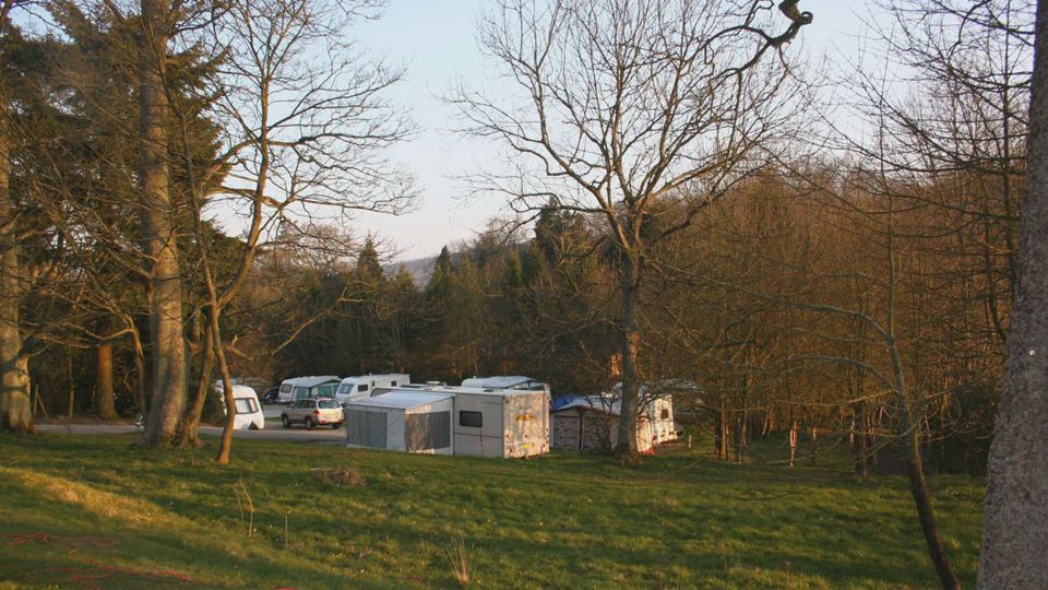Grass pitches under trees