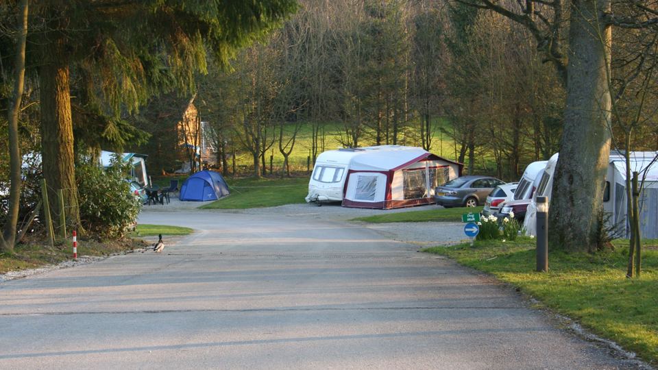 Pitches along the site road