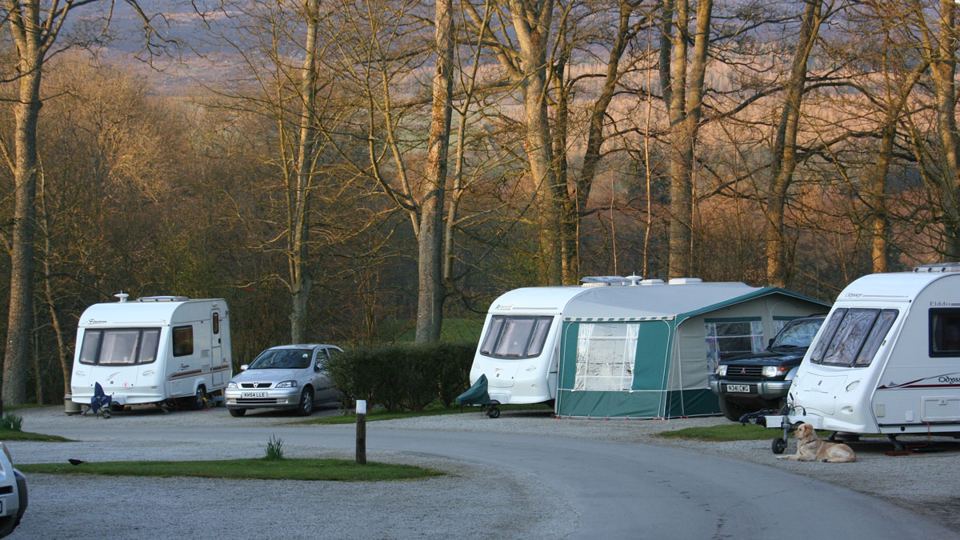 Pitches with autumn colour