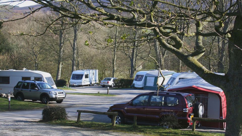 Caravans among trees