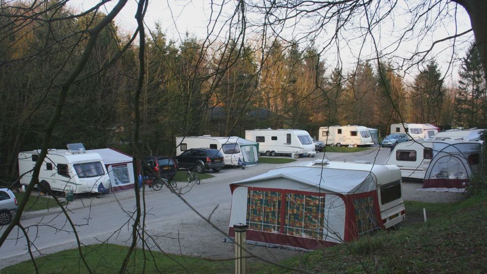 Pitches in the woodland glade