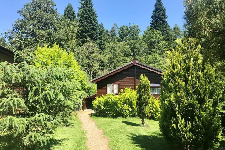 Timber lodge among trees