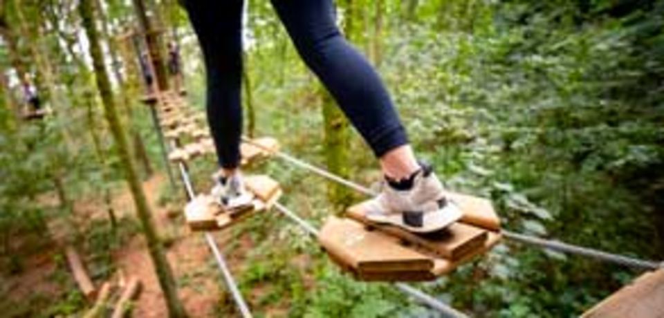 Rope course in the trees