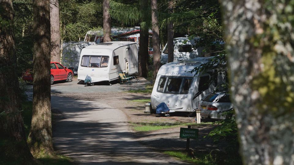 Caravans parked among the trees