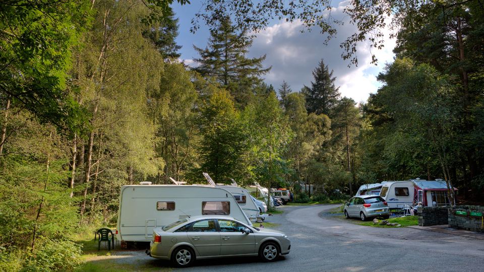 Caravans on pitches under trees